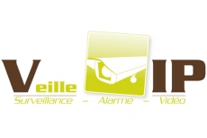 Média réf. 120 (1/1): Noviweb - Logo Veille IP