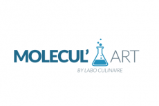 Média réf. 445 (2/4): logo-molecul-art.png